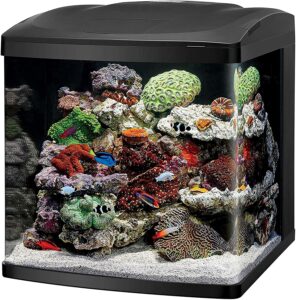 Coralife LED Biocube Marine or Freshwater 32 Gallon Aquarium Kit