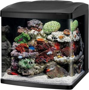 Coralife LED Biocube Marine 32 Gallon Aquarium Kit