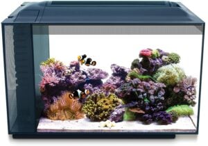 Fluval Sea Evo 13.5 Gallon Aquarium Kit