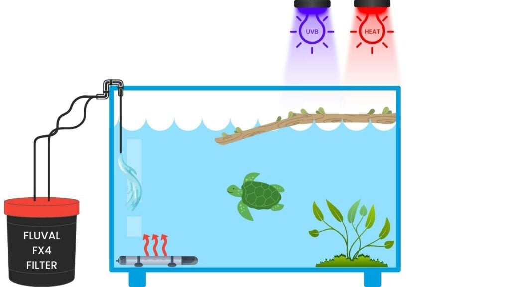 Aquatic turtle tank setup