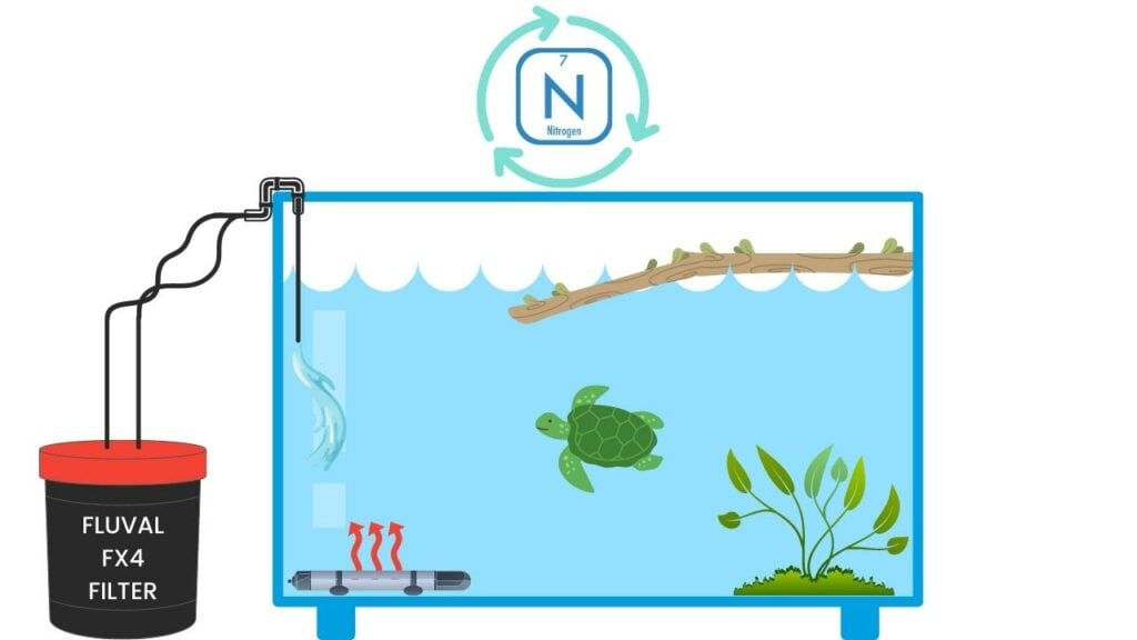 Turtle Tank Nitrogen Cycle