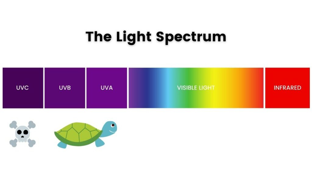 The Light Spectrum