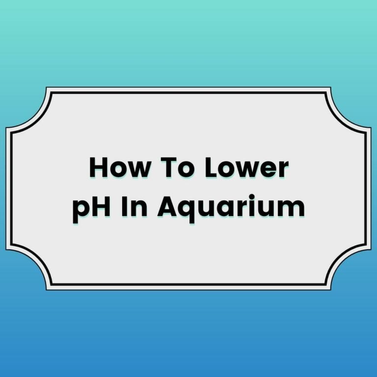 How To Lower pH In Aquarium Featured Image