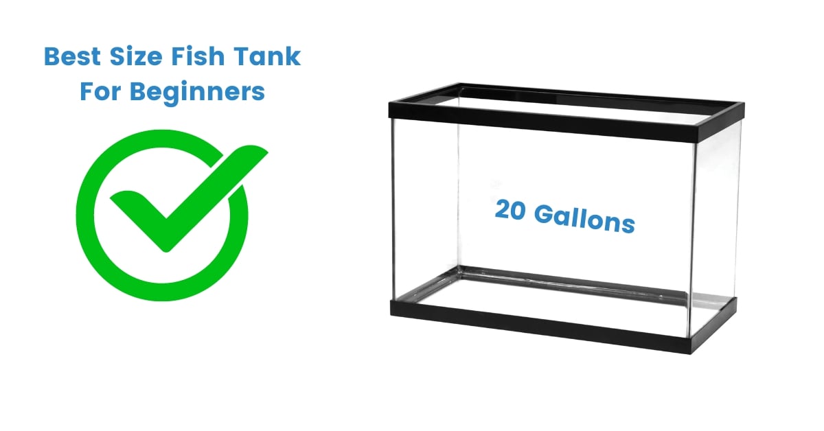 Best Size Fish Tank For Beginners Social Image