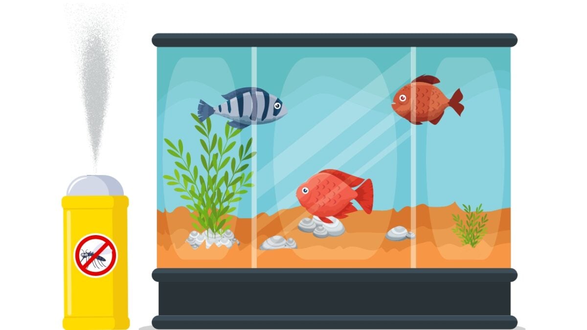 Can You Bug Bomb A House With A Fish Tank Top Image
