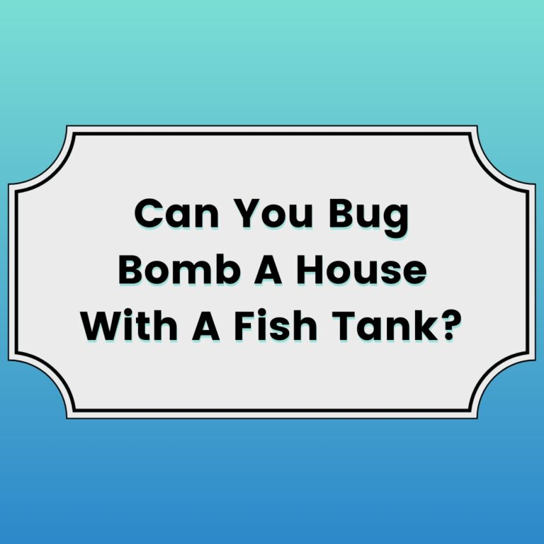 Can You Bug Bomb A House With A Fish Tank Featured Image