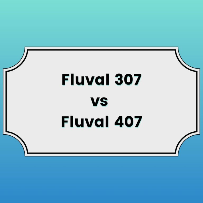 Fluval 307 vs 407 Featured Image
