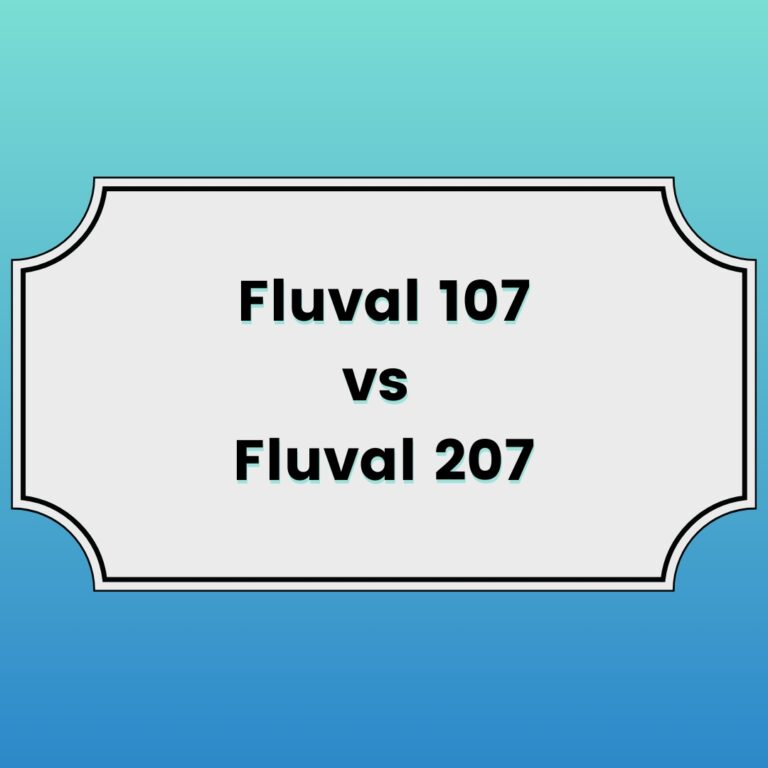 Fluval 107 vs 207 Featured Image