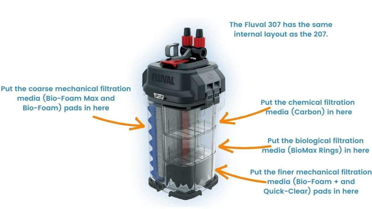 Where To Place The Filter Media In A Fluval 207 or 307