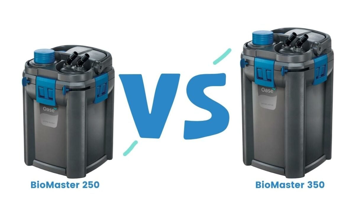 Oase BioMaster 250 vs 350