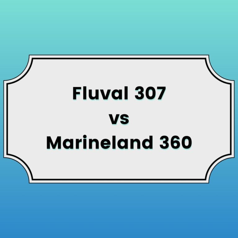 Fluval 307 vs Marineland 360