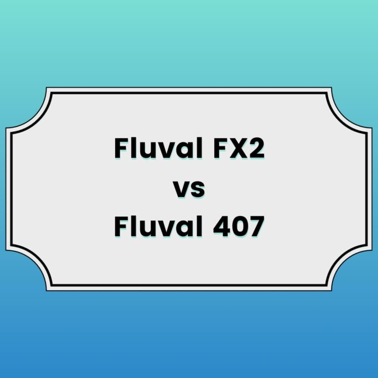 Fluval FX2 vs 407