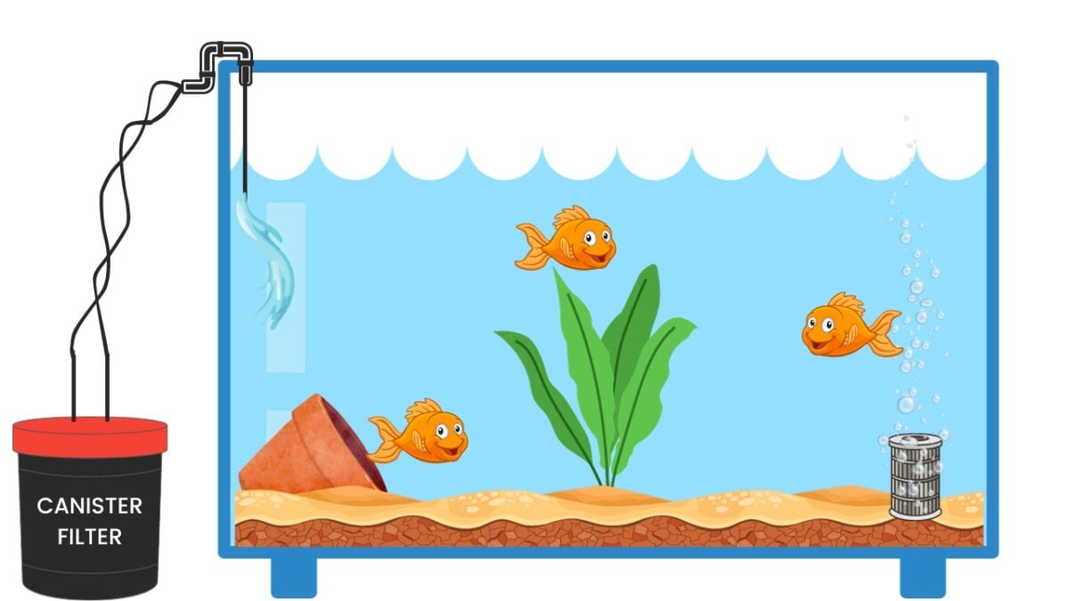 Goldfish Tank Setup Simple Guide For Beginners