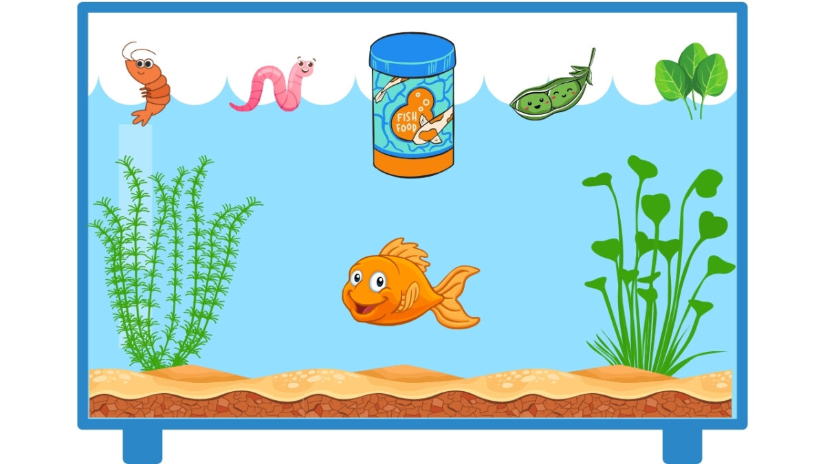 What to feed goldfish, a guide to a nutritious diet.